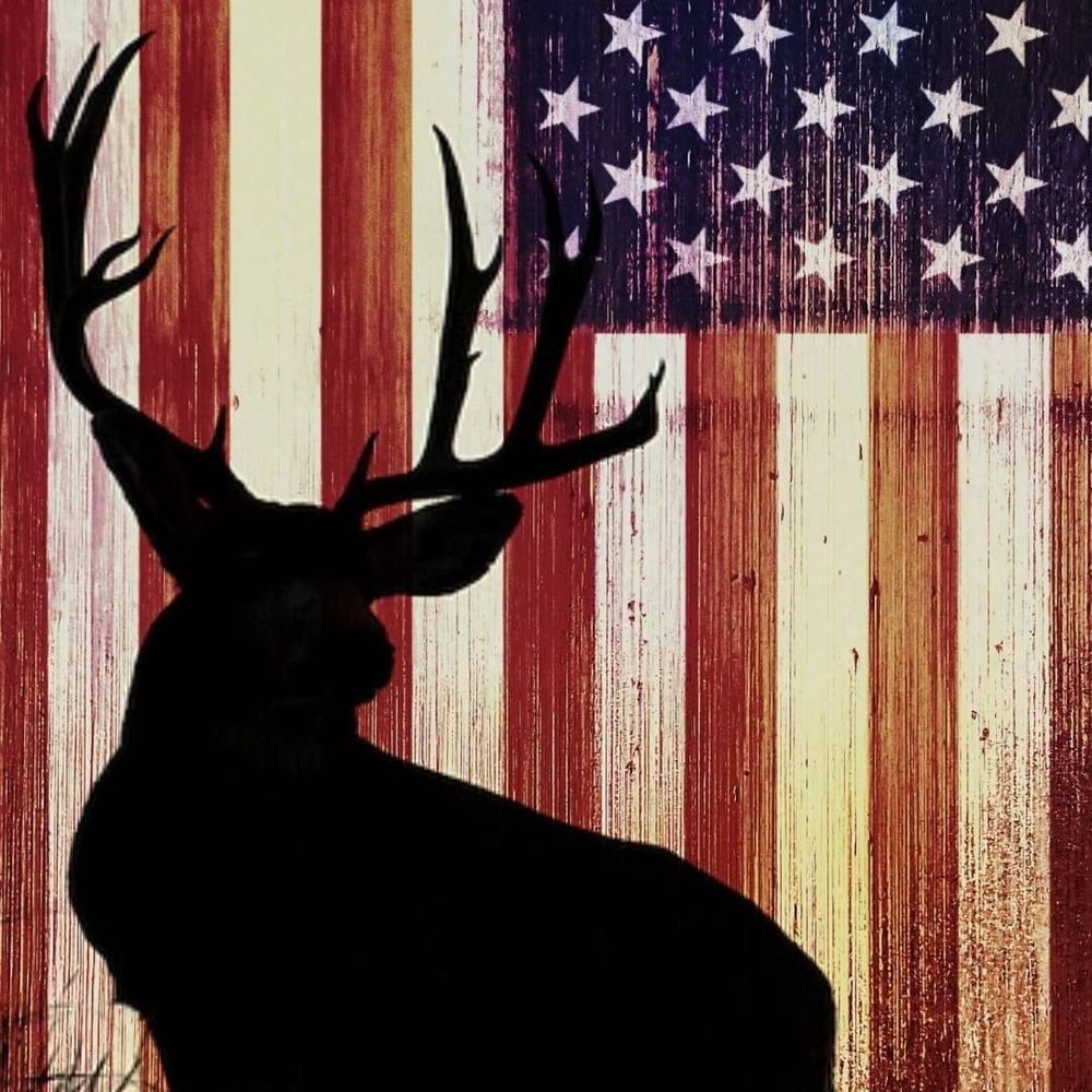 Meet your Posher, Dylan